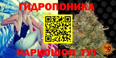 гашишное масло Гай