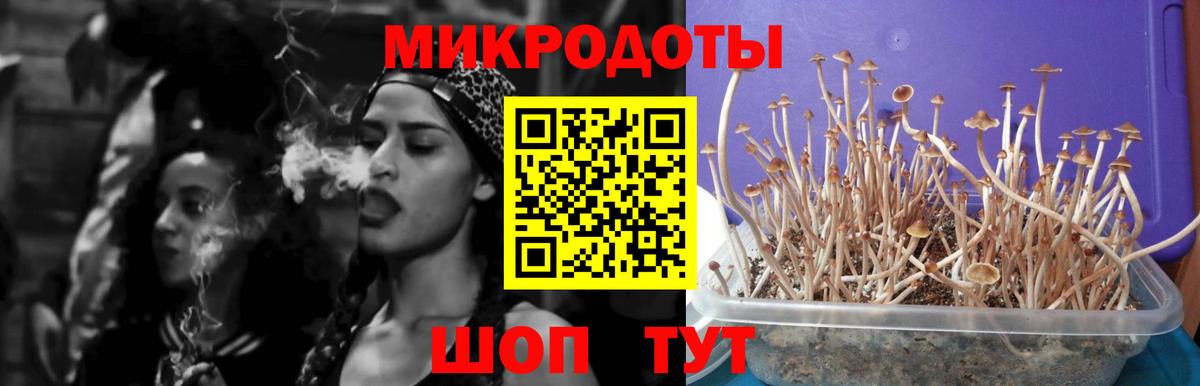 Псилоцибиновые грибы Psilocybine cubensis  Галлюциногенные грибы Psilocybe  Егорьевск  закладка  Вход с VPN 
