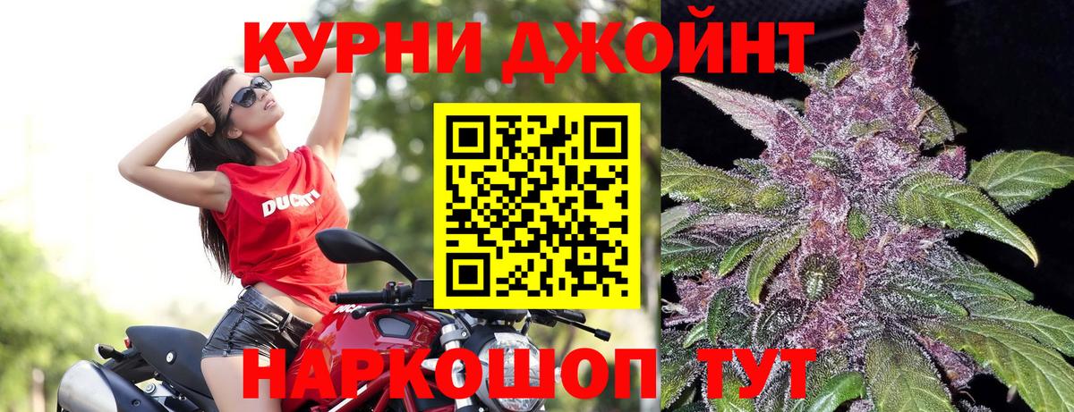 Каннабис индика  Бошки марихуана Bruce Banner  Вход с VPN  Бошки марихуана планчик  Егорьевск 